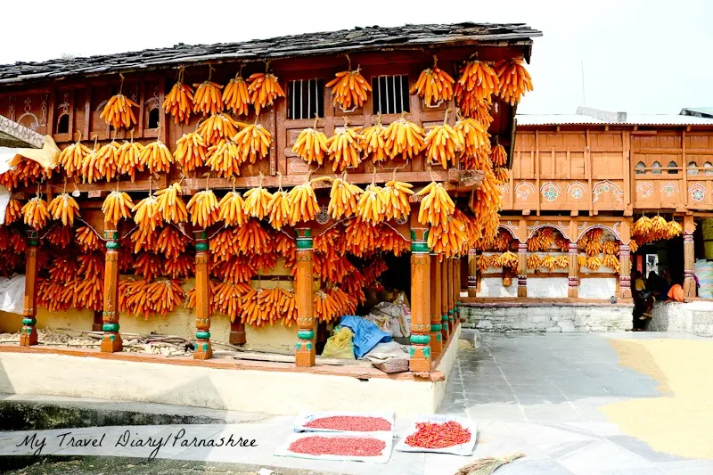 Corn Village