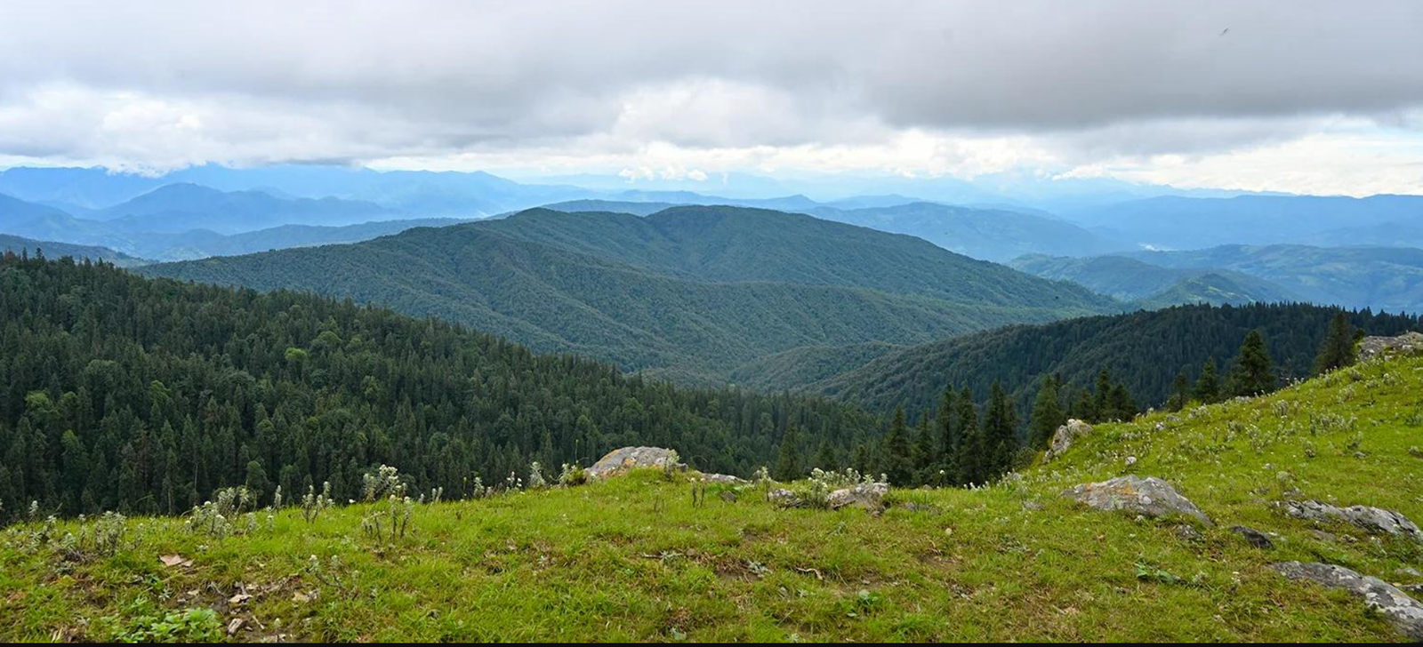 Dudhatoli Range + Trekking